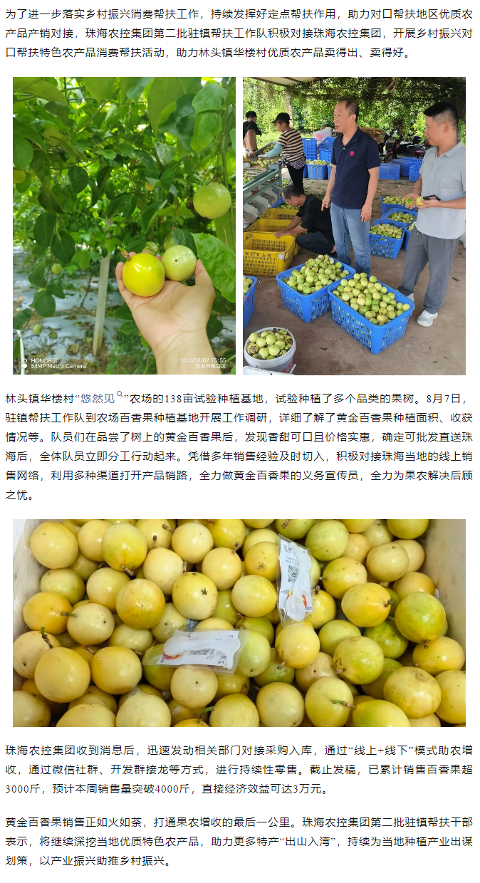 星空app官方站官网集团助力产销对接 对口帮扶果香飘百里.png